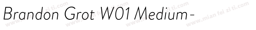 Brandon Grot W01 Medium字体转换